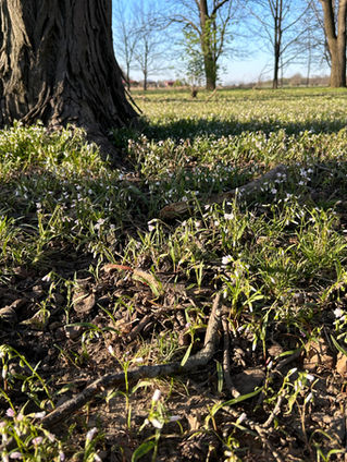 New events popping up at the farm like spring wildflowers