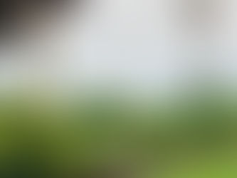 The weather as lead actor, farm bar and farm dinners, employment opportunities, market offerings