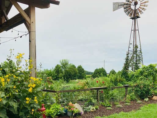 The weather as lead actor, farm bar and farm dinners, employment opportunities, market offerings