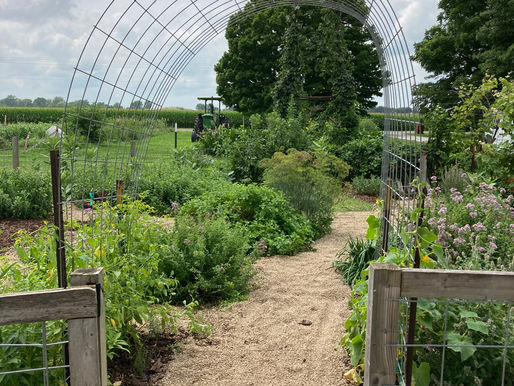 From sweat to sanctuary, resetting the button on agritourism, market offerings