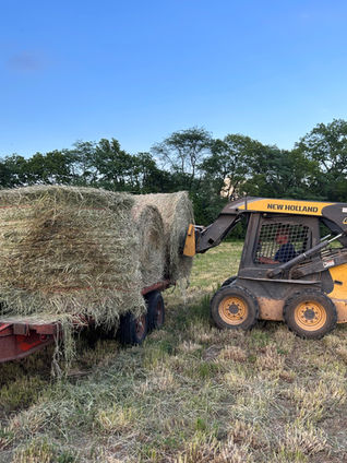 Behind the scenes: Meet a Cheese Maker