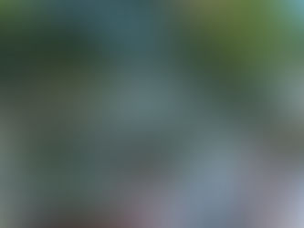 The island got bigger and other farm news