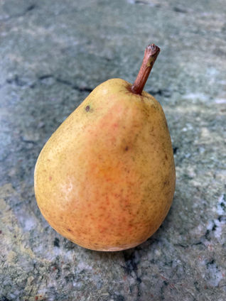 fall fruit harvest and the value of farm labor, farm & market offerings this weekend