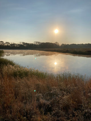 The relief of a killing frost AND other farm news
