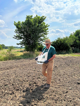 Cover cropping in a drought