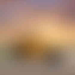 Rent a Jeep in Miami