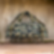 Simple Chest Rig MARPAT Tigerstripe