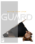 GUARD Cat&Dog furniture, product design and social media post design