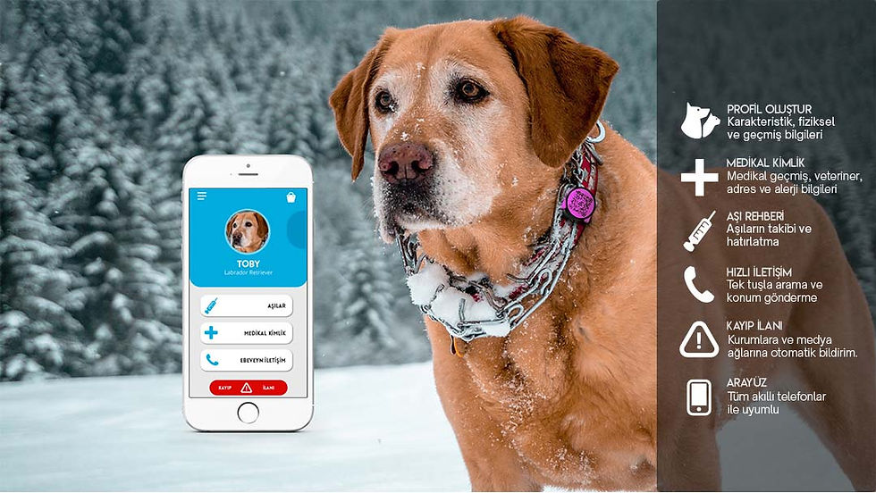 The mobile app interface next to the dog features options like profile creation.