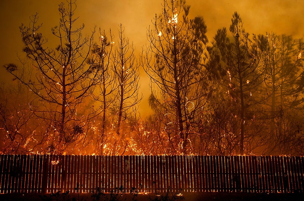 AP_19269687424575-camp-fire-1573077001.j