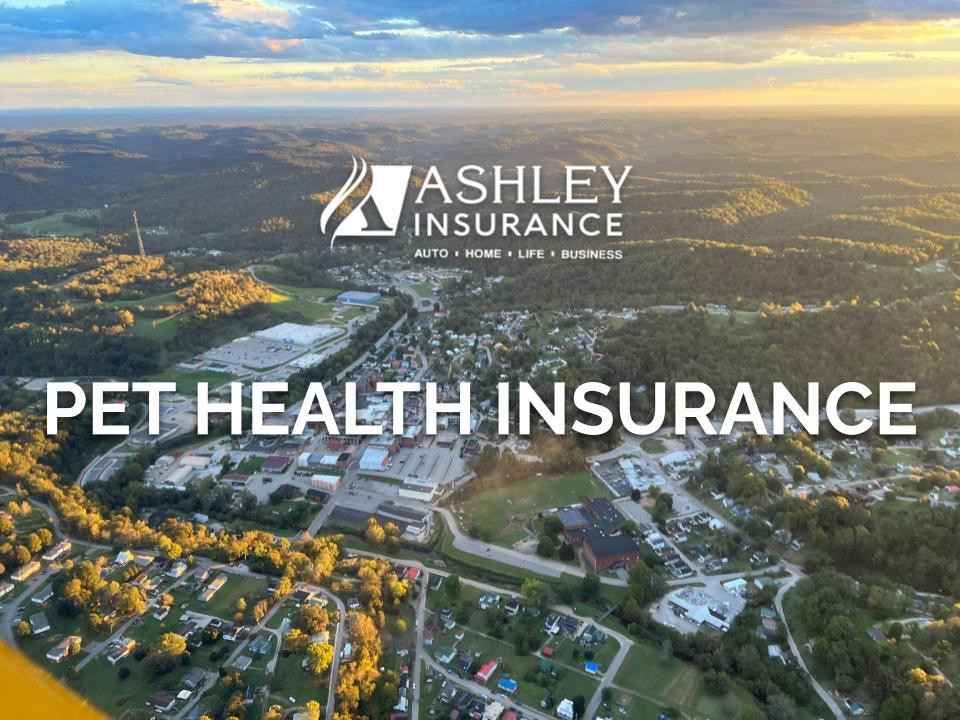 Pet Health Insurance West Virginia Ashley Insurance Agency pet-health-insurance-west-virginia-ashley-insurance-agency