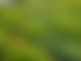 Uncovering the Untapped Potential: Sustainable Building Maintenance Practices for Modern Contractors