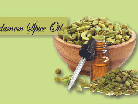 Explore and Enjoy the Aroma and Flavour of Cardamom Essential Oil!