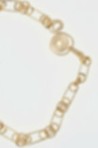 DSC Link Chain with Signature Clasp