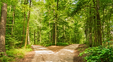 B2N Landing Page - resized 1280x700 px.png