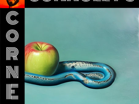 𝗖𝗼𝗻𝗻𝗼𝗹𝗹𝘆’𝘀 𝗖𝗼𝗿𝗻𝗲𝗿 - this week: Snake - Kate Stanton, 12 Below