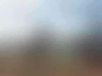 NAS 10 Questions with Crimson Discord