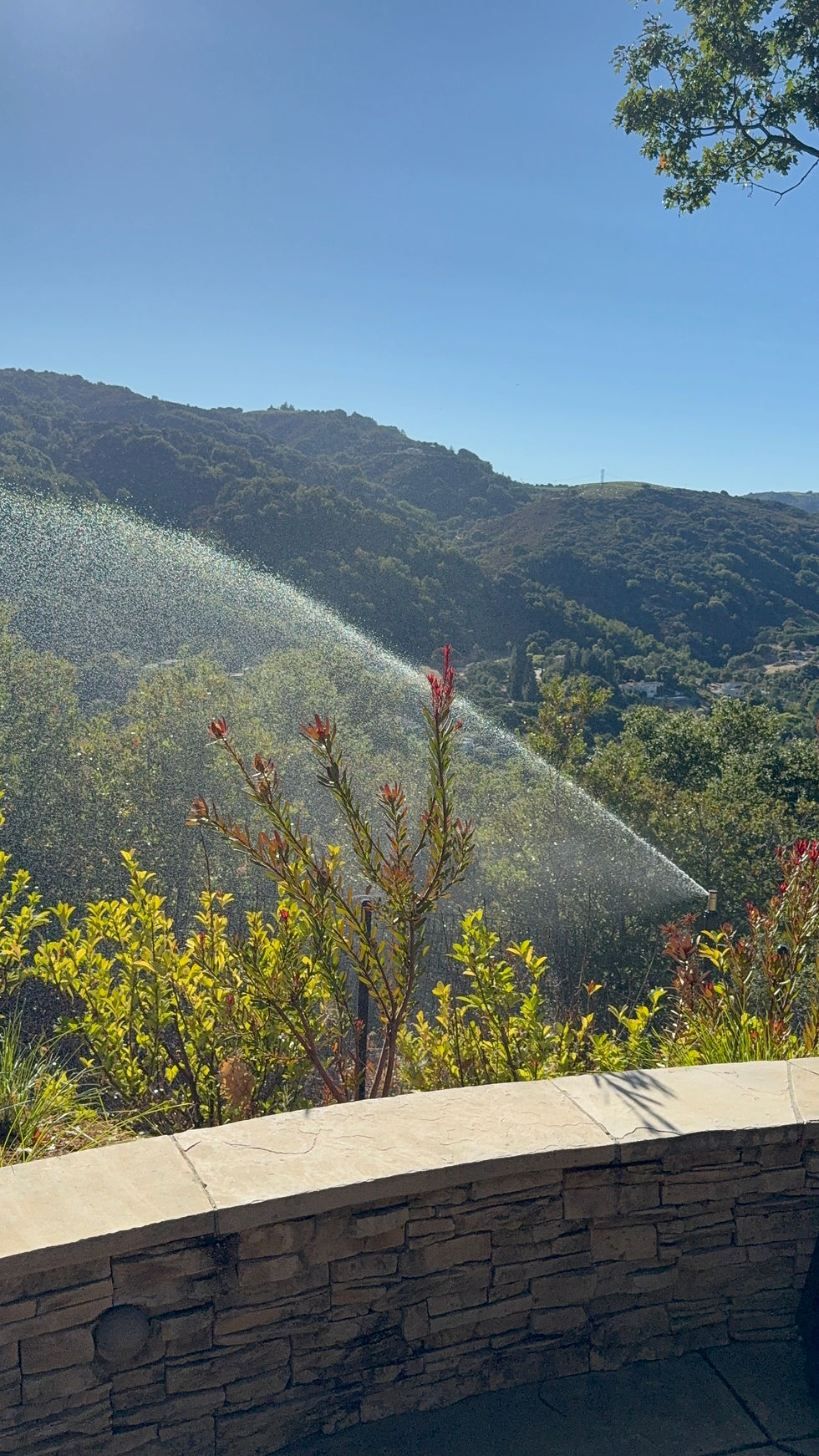 Sprinklers wetting the defensible space
