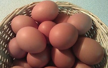 Organic Eggs - Strawberry Hill Farm