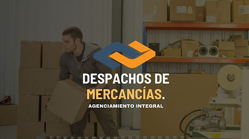 Búsqueda de proveedores. (6).png