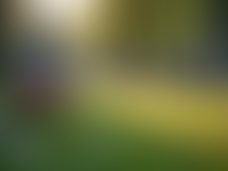 Servicios funerarios: apoyo en momentos difíciles