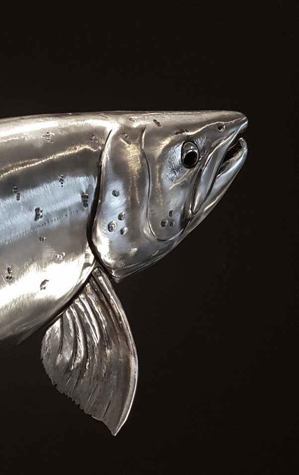 Atlantic Salmon