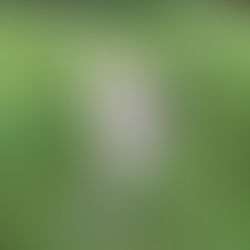 Meet the sprinkler. The love of my life.