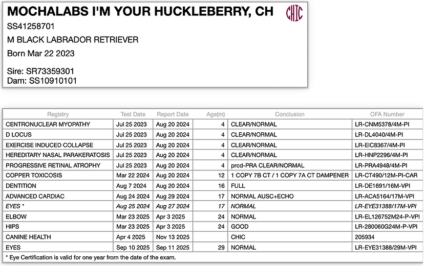 Screenshot 2025-12-16 at 1.17.07 PM.png