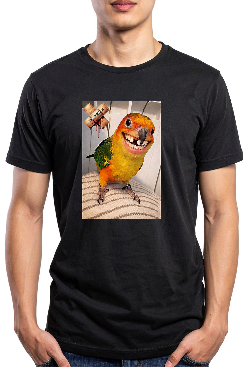 Miniature : Conure