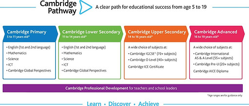 CAIE pathway.jpg