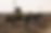 DSC_0040.png