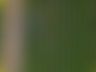 Australasian Space Innovation Institute unveils National Digital Twin for Australian Agriculture as its first major project