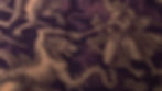 EMPTY_BACKGROUND.jpg