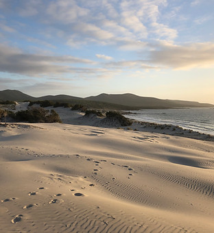 Porto Pino_dune.JPG