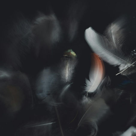 Neti Neti : une voie de dépouillement