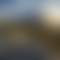 2024 sera t elle une bonne année ou pas?