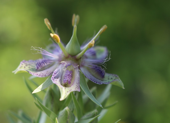 2013-07-26 03.28.15.jpg