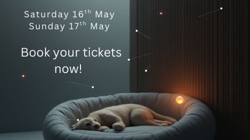 The ultimate dog’s day out!