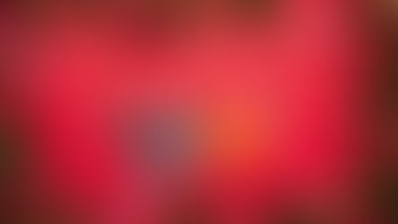 Wishing you a very Merry Christmas from everyone at HPW