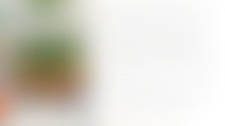 HPW Project Series: The Brabazon Restaurant at the National Motor Museum, Beaulieu