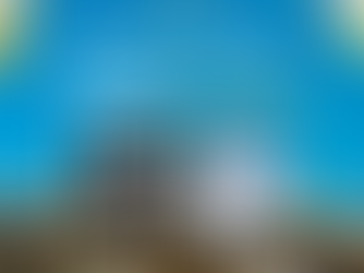 Botafogo faz sua primeira partida no Mundial de Clubes