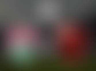 Sábado é dia de Fla X Flu