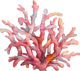 Coral