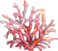 Coral