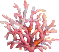 Coral