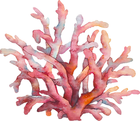 Coral