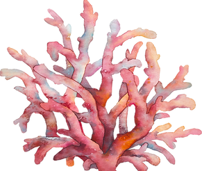 coral
