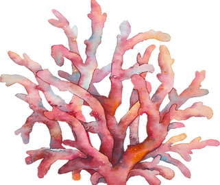 Coral