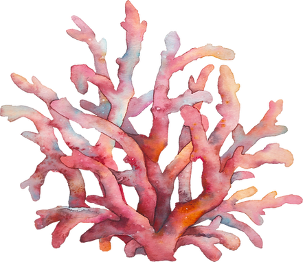 Coral