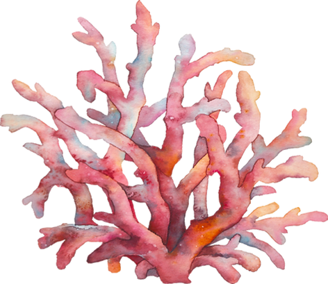 Coral